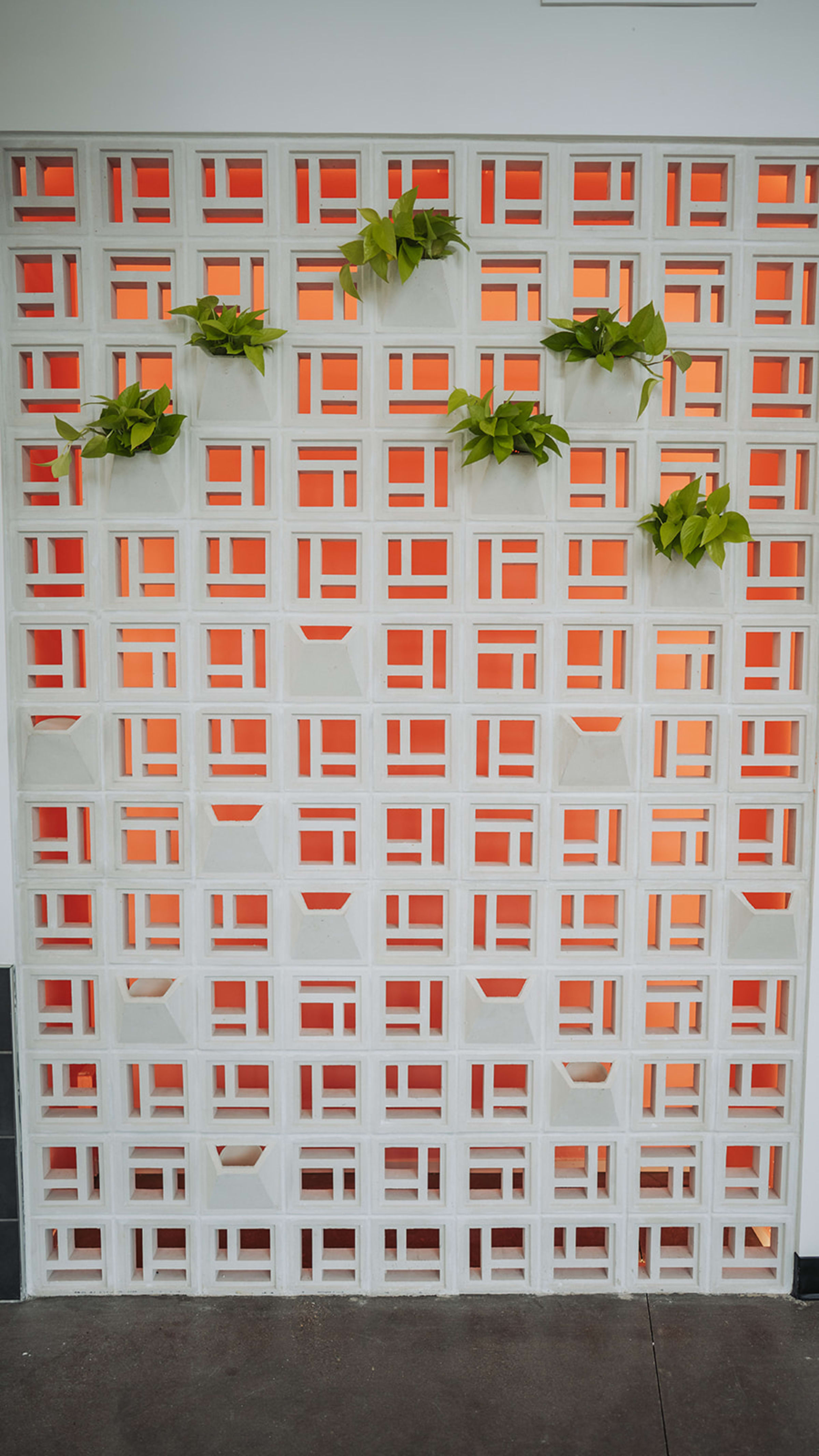 clearinghouseribboncutting — Casey Addason Photography