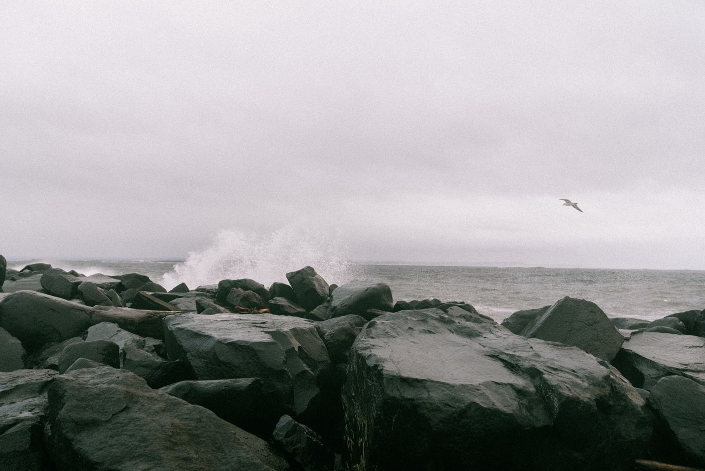 oceanshoreswashington — Casey Addason Photography