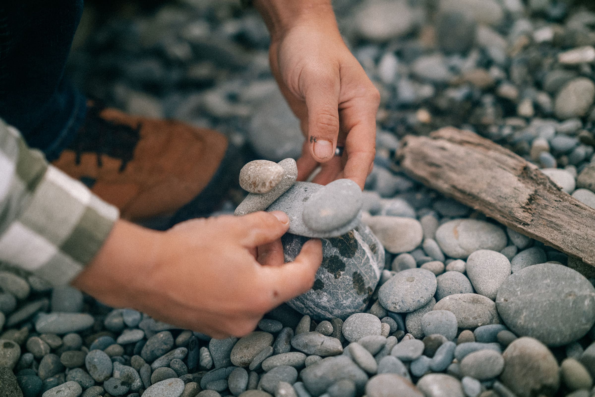 treeoflifekalalochwashington — Casey Addason Photography