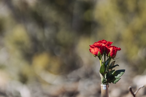 Best time of year for outdoor weddings in Santa Fe — Casey Addason Photography