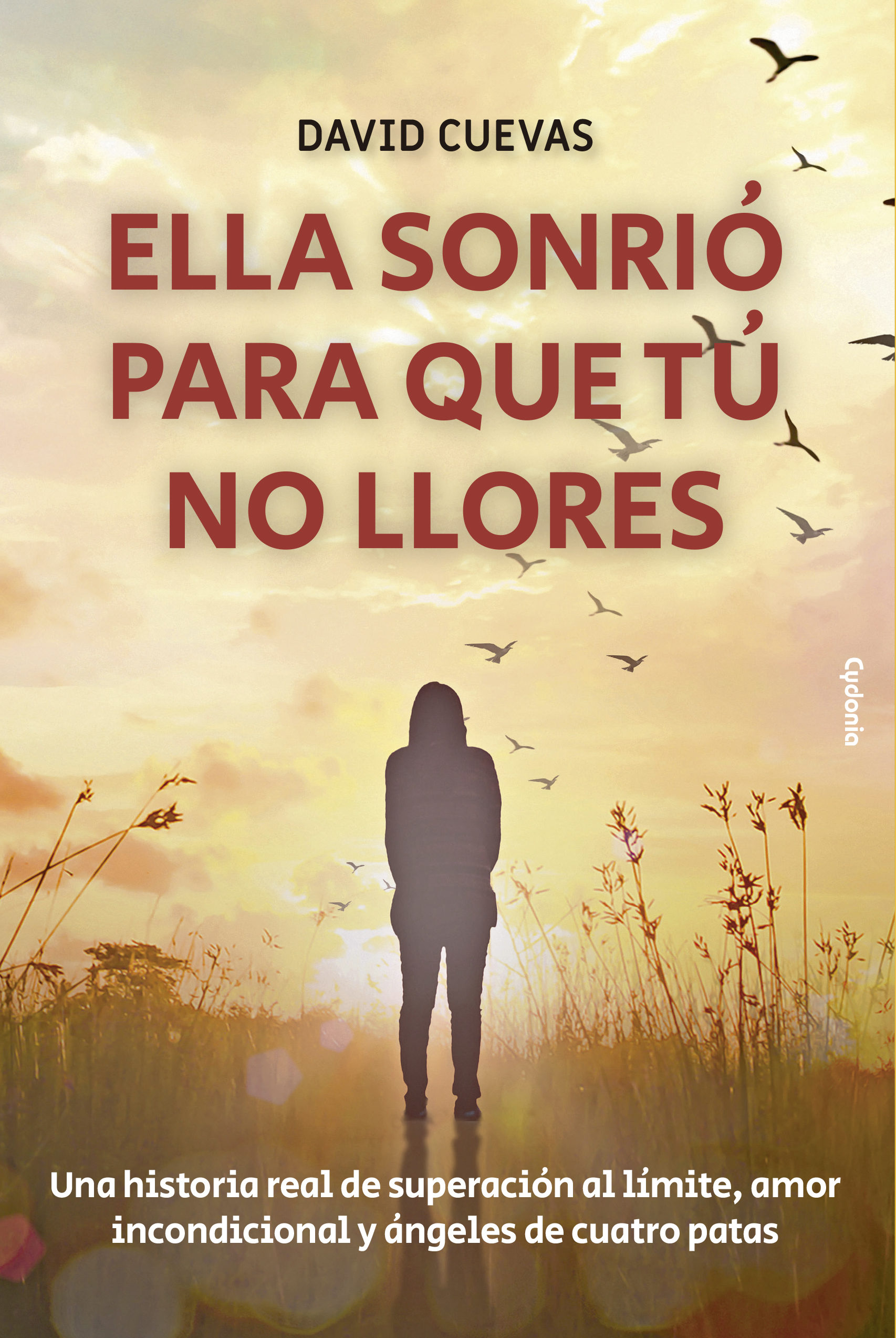 Ella sonrió para que tú no llores