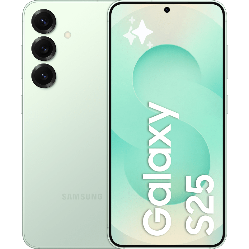 Samsung Galaxy S25 5G, 256 Gt