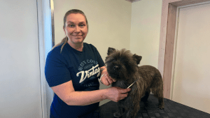 Kennel Sandicon yrittäjä Salla Vuokila hymyilee trimmatessaan pientä koiraa.