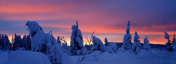 Valkoinen talvi -ohjelma Viasat Nature -kanavalla