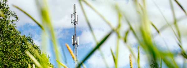 Tukitorni näkyy korkean ruohon läpi, taustalla sininen taivas ja puut.