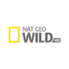 Nat Geo Wild HD -logo, jossa on keltainen suorakulmio ja harmaa teksti valkoisella taustalla.