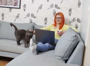 Oranssitukkainen ja silmälasipäinen nainen käyttää kannettavaa tietokonetta sohvalla, silittää harmaata kissaa ja pitää mukia.