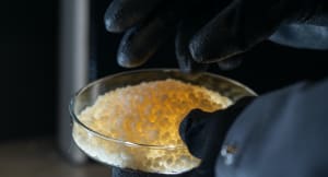 Mäntyöljyllä höystetty Prexelent on hyvä esimerkki muovin uusista ulottuvuuksista.