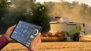 IoT voisi nostaa Suomen maatalouden edelläkävijäksi