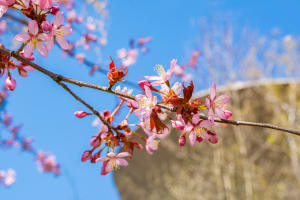 Tietoturvan saralla nousevina trendeinä ovat laaja-alaisuus ja skaalautuvuus.