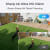 Reolink TrackMix Series G770 4G -valvontakamera, White