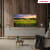 Thomson QLED UHD Google Smart TV (2024) QG5C14, 50"