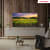 Thomson QLED UHD Google Smart TV (2024) QG5C14, 55"