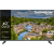 Thomson QLED Full HD Google Smart TV FQG3S15, 40"
