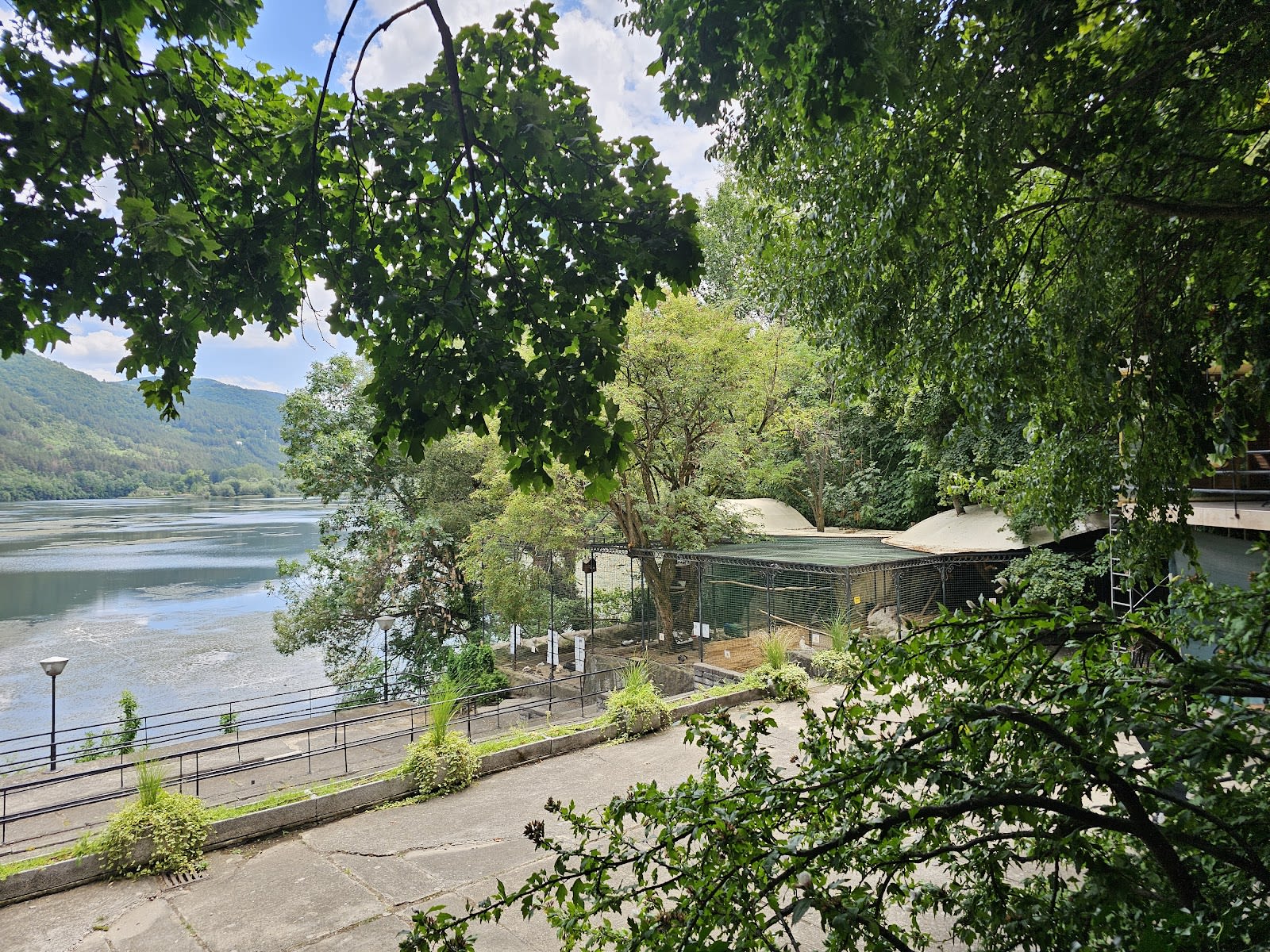 Restaurant "Swan" — photo 4