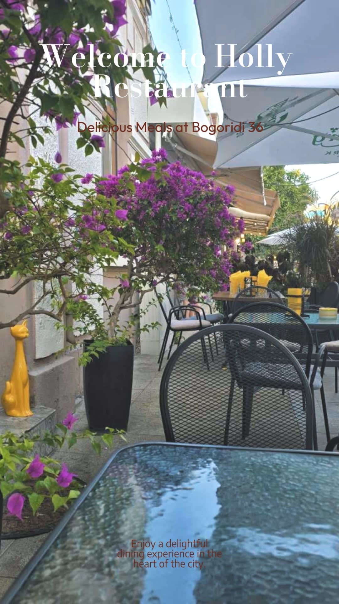 Холи / Holly's restaurant