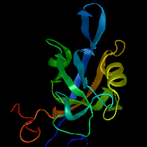 Protein Structure Prediction Step 3