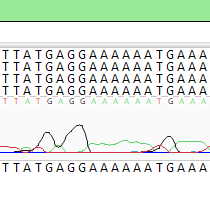 step seq clone