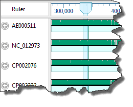 Viewport in MegAlign Pro's Overview window