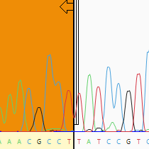 macvector chromatogram trim