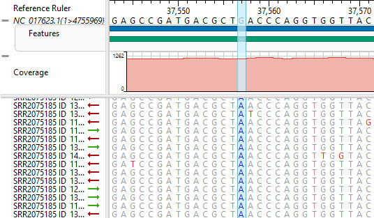 Bioinformatics Software For Life Science Dnastar Lasergene