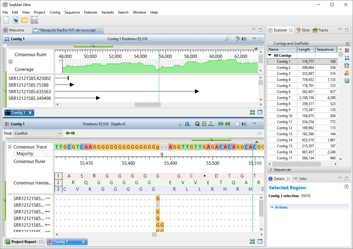 Using Lasergene to De Novo Assemble PacBio HiFi Data