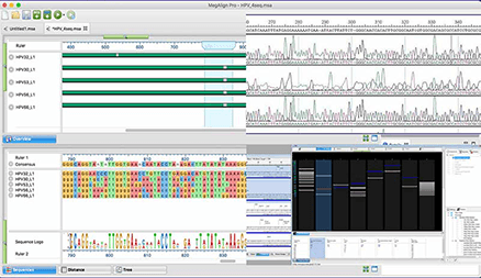 dnastar lasergene 12 crack