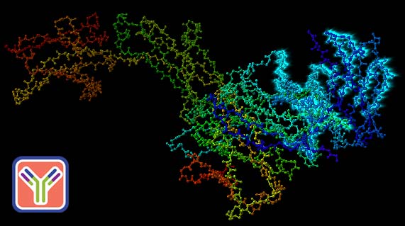 NovaFold Antibody generates models of antibodies and antibody fragments in minutes.