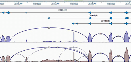 Isoform Analysis for RNASeq