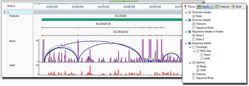 Lasergene 15.3 Release Notes