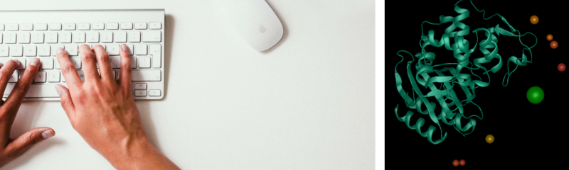 Nova Applications on Mac: Bringing the Power of Protein Modeling to the Desktop