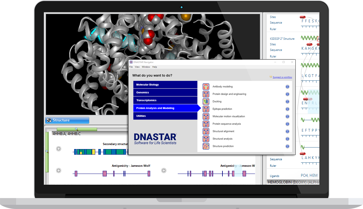 Dnastar for mac