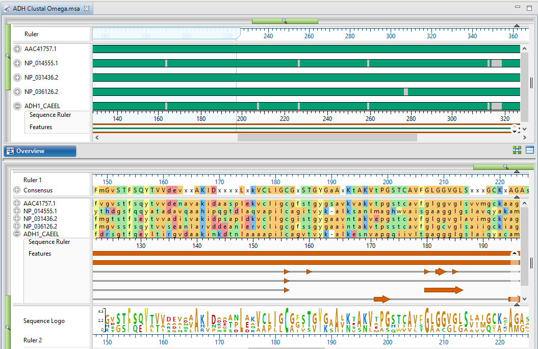 software to align dna sequences