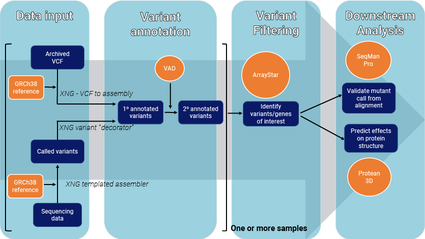VCF_Workflow_850 Steps for annotating and analyzing multi-sample variant data in Lasergene. DNASTAR software tools and supplemental data are shown in orange.