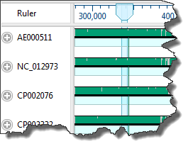 Viewport in MegAlign Pro's Overview window