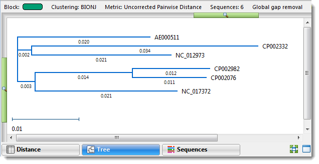 Phylogenetic tree in MegAlign Pro