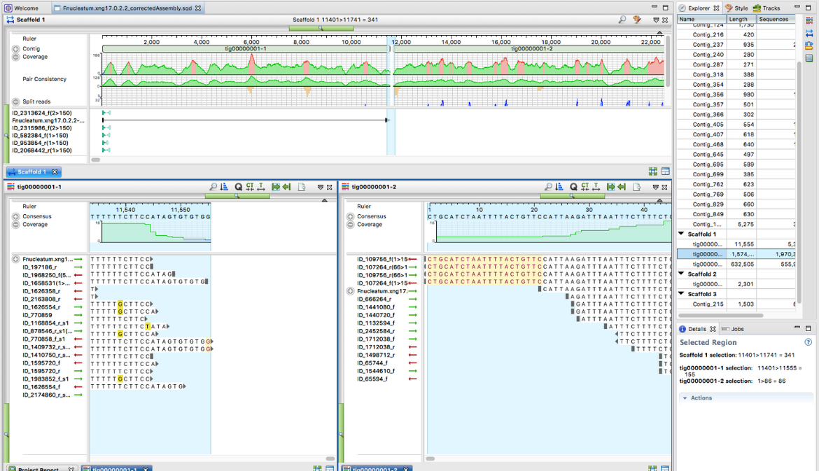 Genome Polishing Benchmarks: SeqMan NGen vs. Three Open-Source Tools