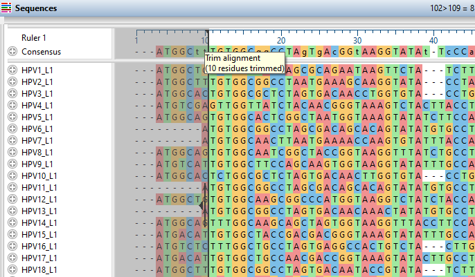 Lasergene 17.1 Release Notes