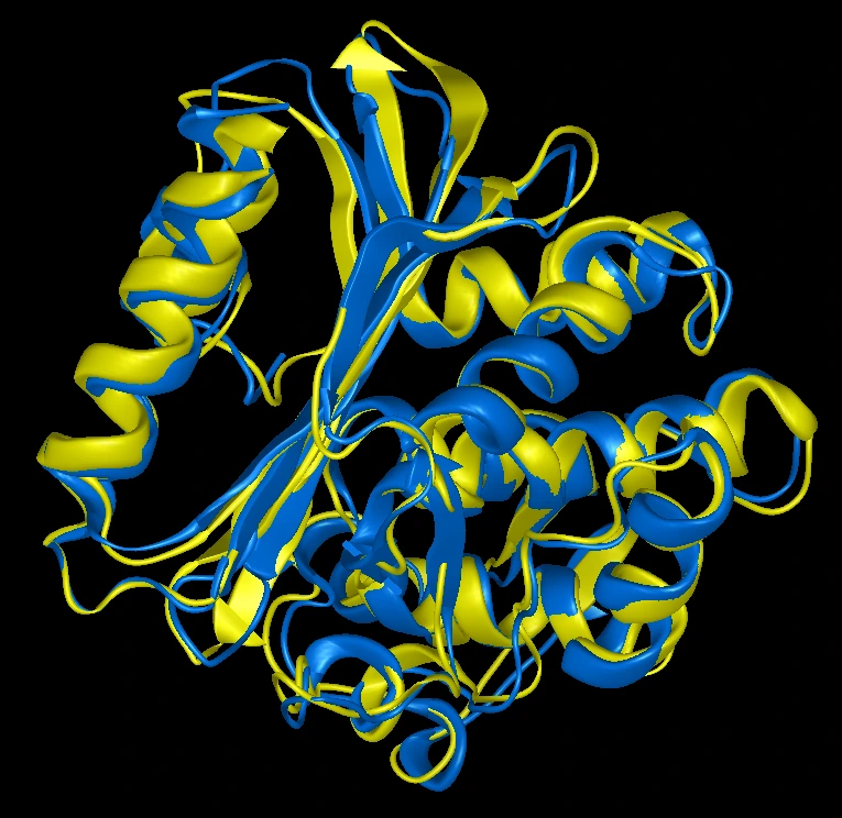 Protein Structure Prediction