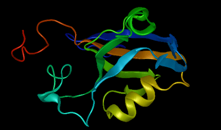 Protein analysis and structure prediction
