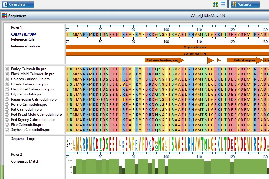 Sequence alignment workflow