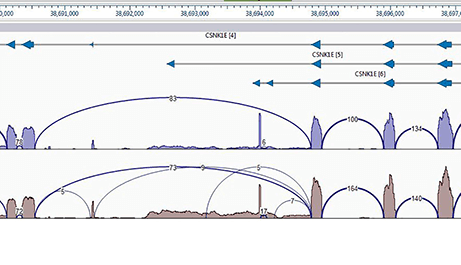 Sashimi Plot Isoform Analysis for RNASeq