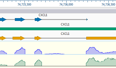 Gene Resequencing Results in GenVision Pro Lasergene Genomics Gene Resequencing Results