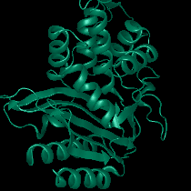 Protein-Docking-Step-1 Protein Docking Step 1