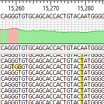 Variant-Analysis-Step-4 Variant Analysis Step 4