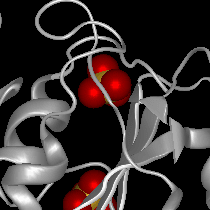 Epitope-Prediction-Step-1 Epitope Prediction Step 1