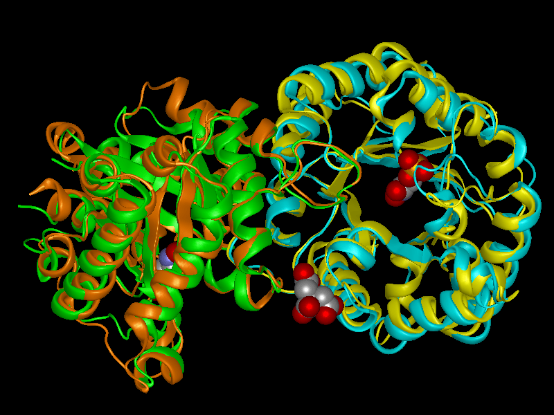 protein-structural-alignment-carousel-1 Protein structural alignment