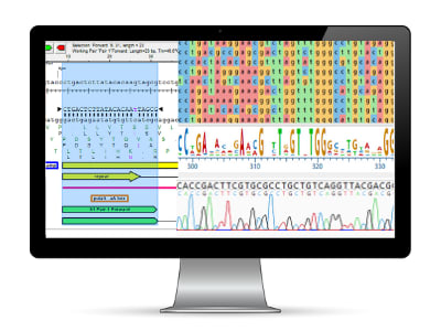 PCR Primer Design Workflow | DNASTAR