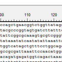 Plasmid-Maps-Step-1 Plasmid Maps Step 1