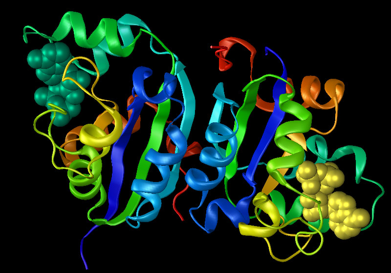 Protein Stability Prediction Workflow DNASTAR